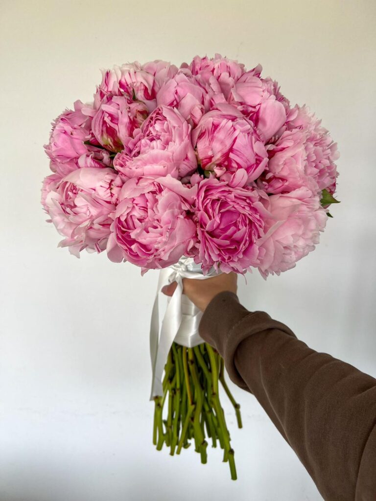 Božuri u buketu bez papira