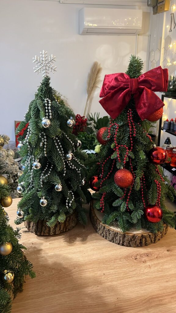 Mali borovi za bozic cvjetne dekoracije