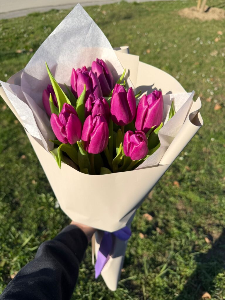 Ljubičasti ružičasti tulipani u buketu cvijeće za dan žena