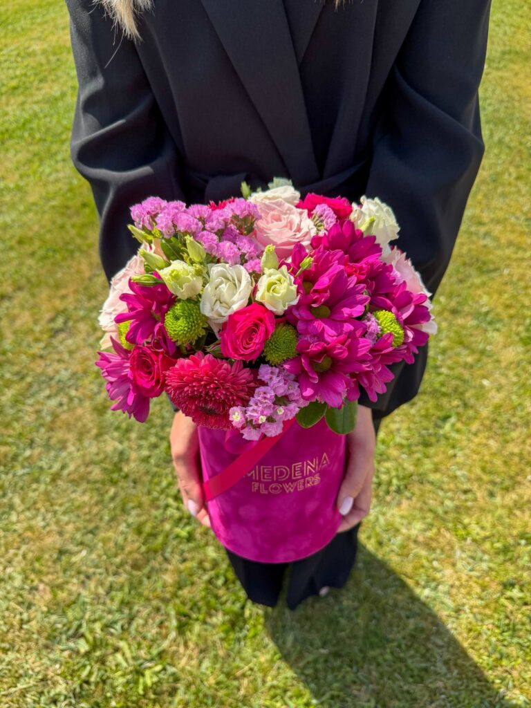 Ciklama flower box srednji rozo cvijeće